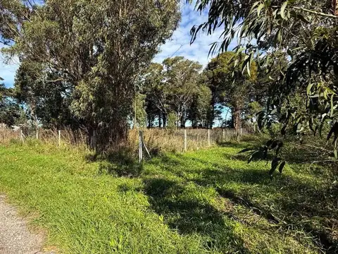 Terreno en Venta en Mar del Plata, Partido de General Pueyrredón