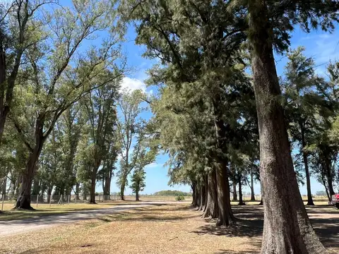 Terreno en Venta en Los Tres Pinos, Countries y Barrios Cerrados en General Rodríguez