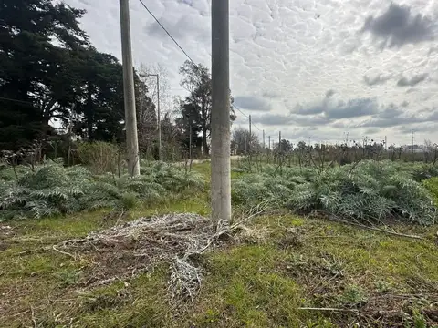 Terreno en Venta en La Plata, Partido de La Plata