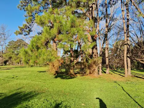 Terreno en Venta en Amarylis, Exaltación de la Cruz