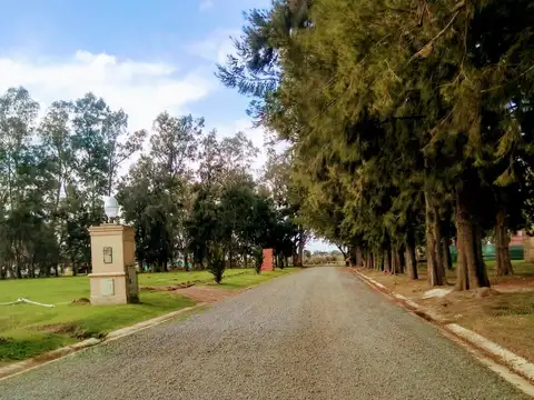 Terreno en Venta en Lagos de San Elíseo, Canning