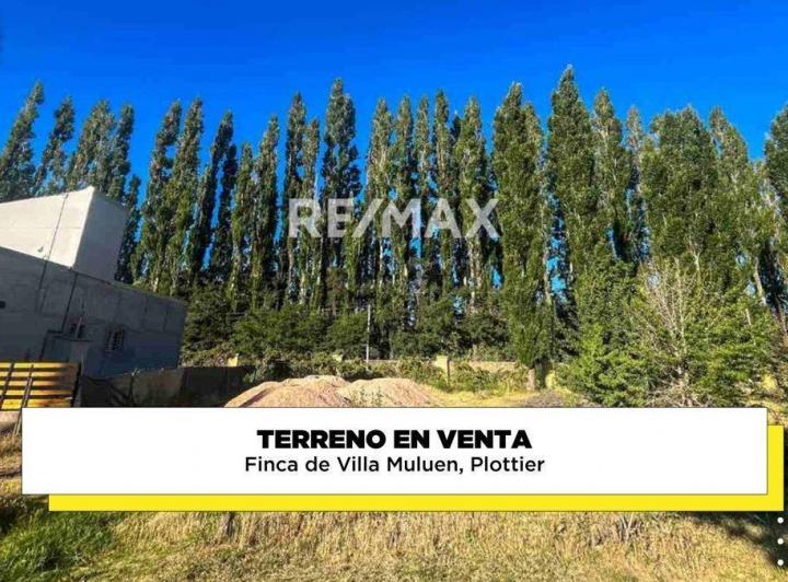Terreno · 501m²