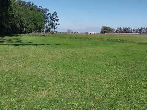 Terreno en Venta en Colonia Carolina, Goya