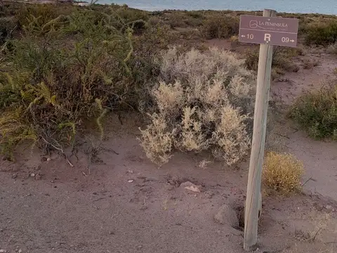 Terreno en Venta en Neuquén, Confluencia