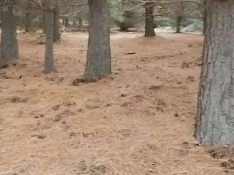 Terreno en Venta en San Martín de los Andes, Lácar