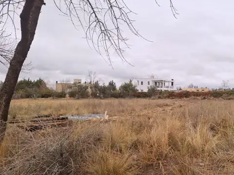 Terreno en Venta en Vistalba, Luján de Cuyo