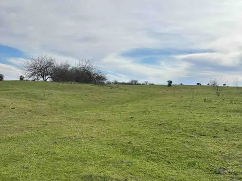 Campo en Venta en Rosario, Santa Fe