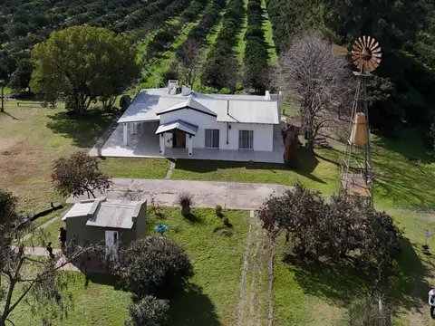 Campo en Venta en San Pedro, Partido de San Pedro