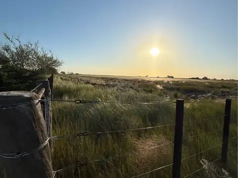 Campo en Venta en Villa Iris, Partido de Puán