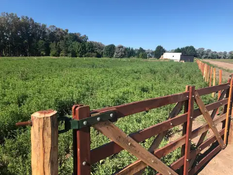 Terreno en Venta en San Andrés de Giles, Partido de San Andrés de Giles