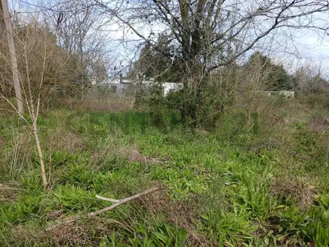 Terreno en Venta en Lisandro Olmos Etcheverry, Partido de La Plata