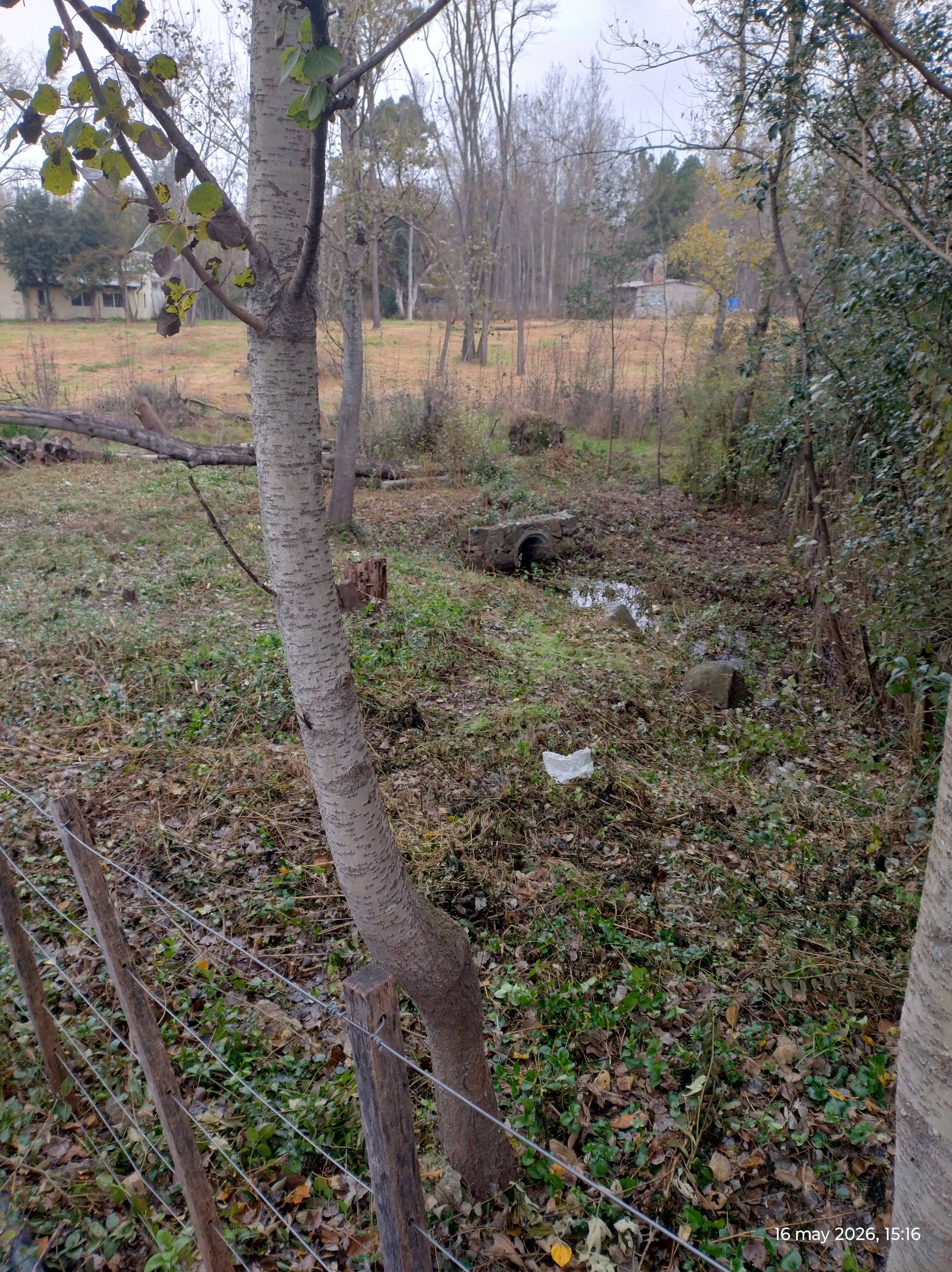 Terreno en San Clemente , sobre Ruta Provincial S-271 de 425 m2