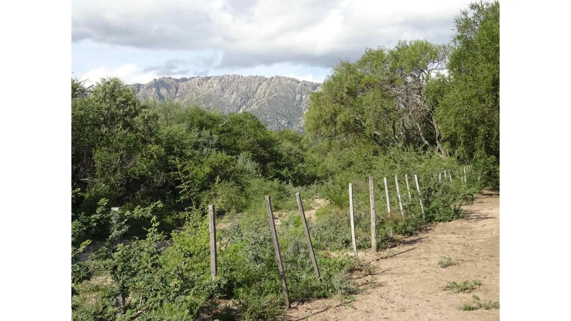 Terreno Calle La Rubí