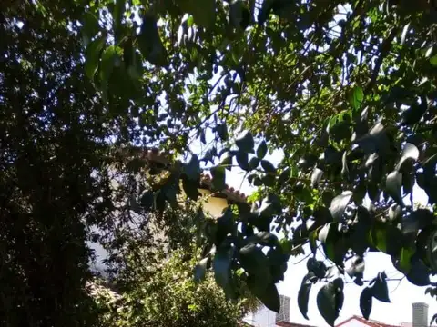 Casa en Venta en Burzaco, Partido de Almirante Brown