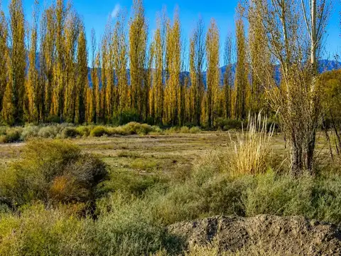 Terreno en Alquiler en Las Flores, Iglesia