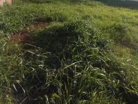 Terreno en Venta en Posadas, Capital