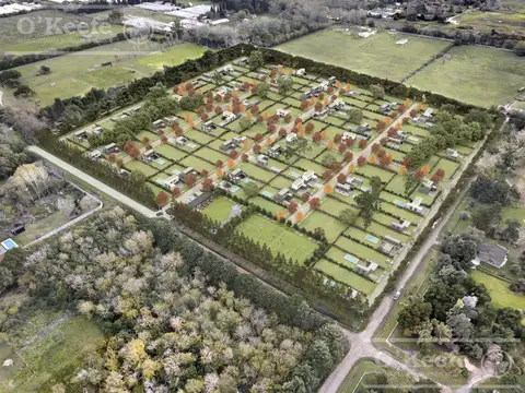 Terreno en Venta en Centro Agrícola el Pato, Partido de Berazategui
