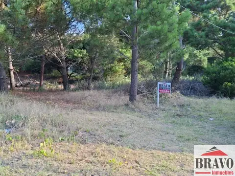 Terreno en Venta en Mar Azul, Partido de Villa Gesell
