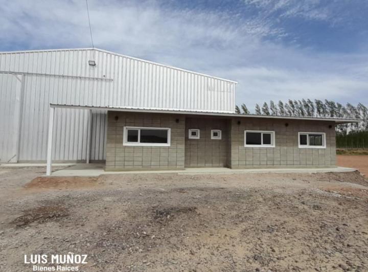 Bodega-Galpón · 600m²
