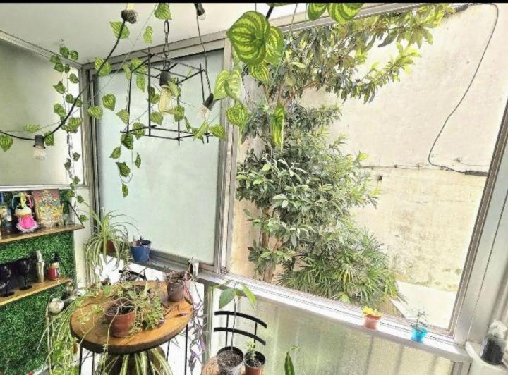 Departamento · 32m² · 2 Ambientes