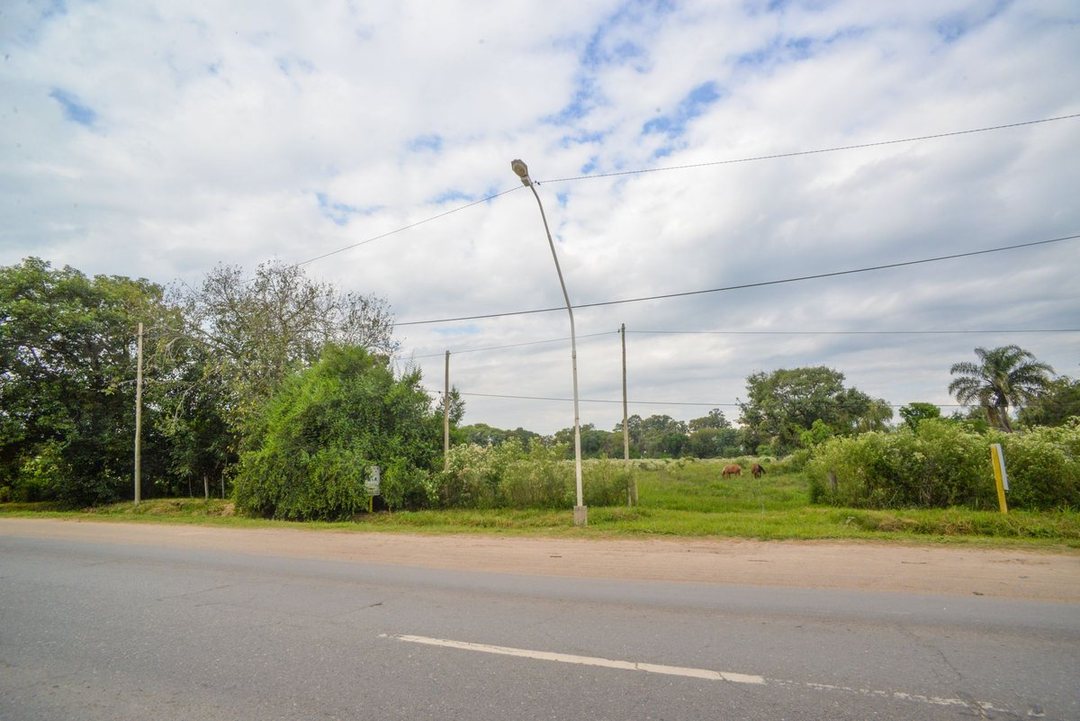 VENTA DE HECTÁREAS EN SAUCE VIEJO SOBRE RUTA 11