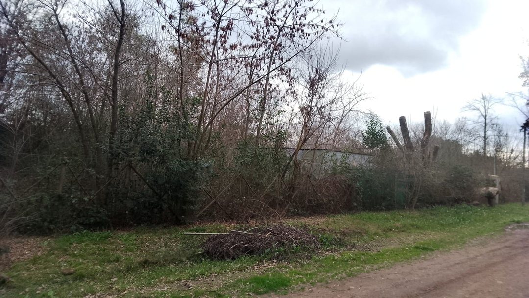 Lote 800m2 arbolado El Casco Gral Rodriguez