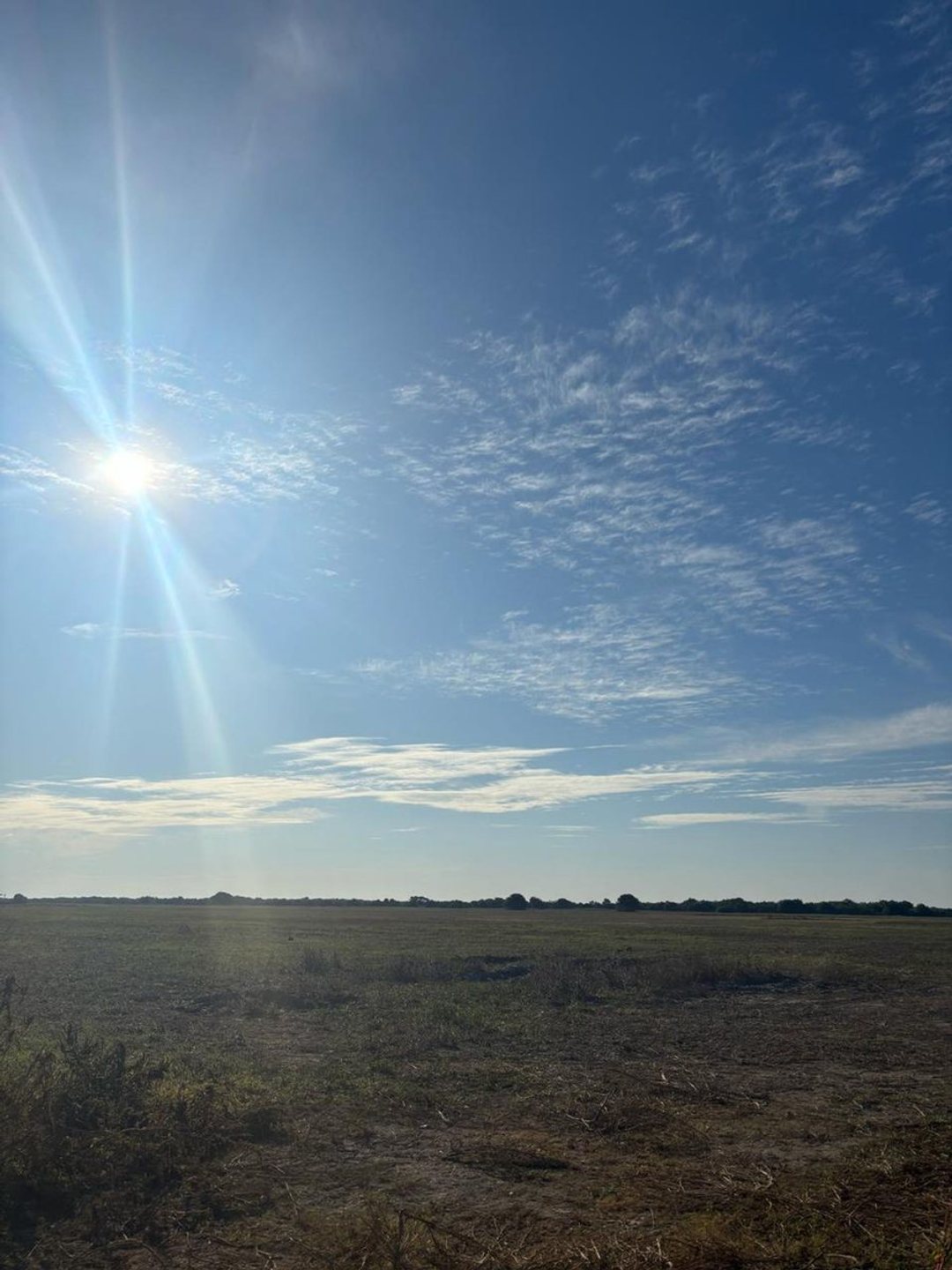 Campo agrícola/mixto  en venta en campo andino