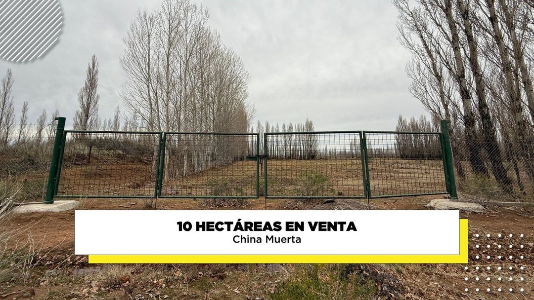 Venta Chacra 10 hectáreas -  China muerta