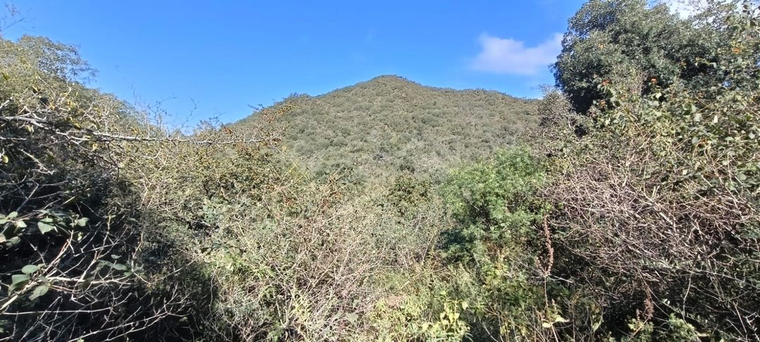 VENDE LOTE 8552 M2 CABANA UNQUILLO LOS QUEBRACHITO