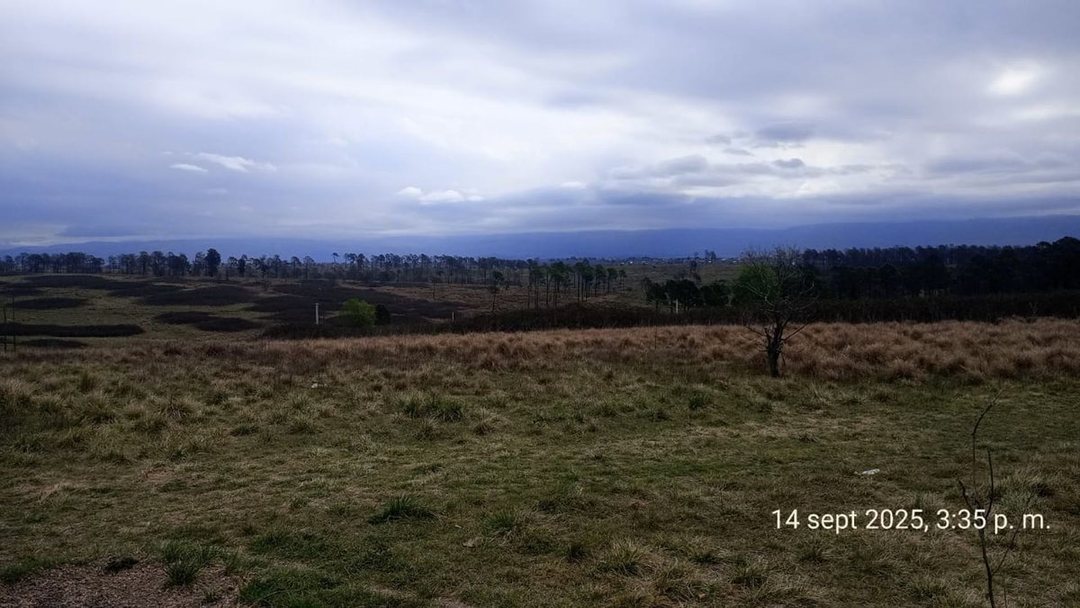 SE VENDE HERMOSO CAMPO DE 3 ,3 HAS EN YACANTO