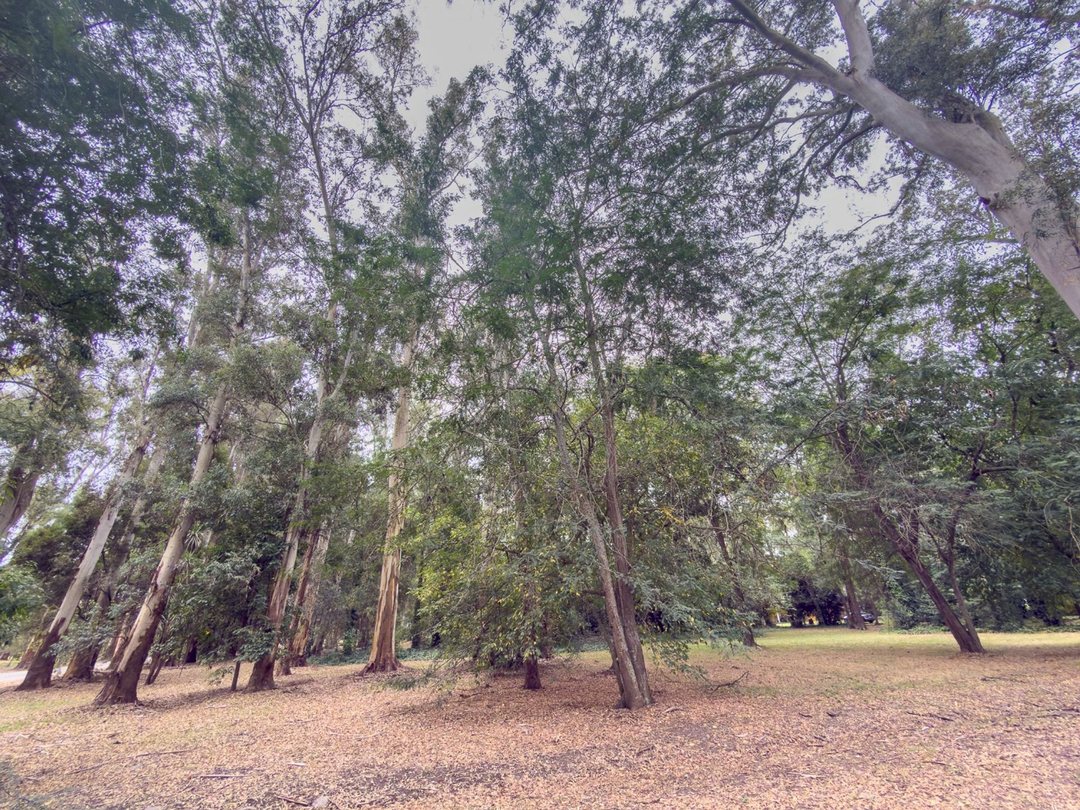 LOTE EN VENTA CAMPOS DE ROCA I DE 4800 MTS