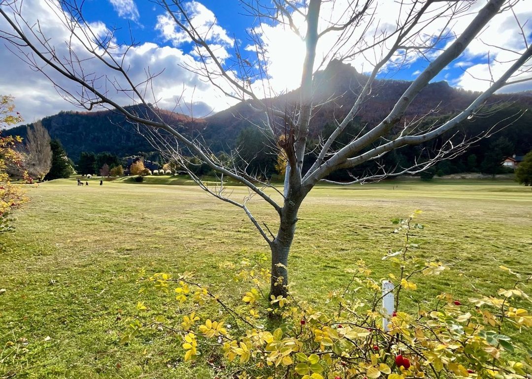 Lote en Arelauquen soleado, plano, sobre Golf