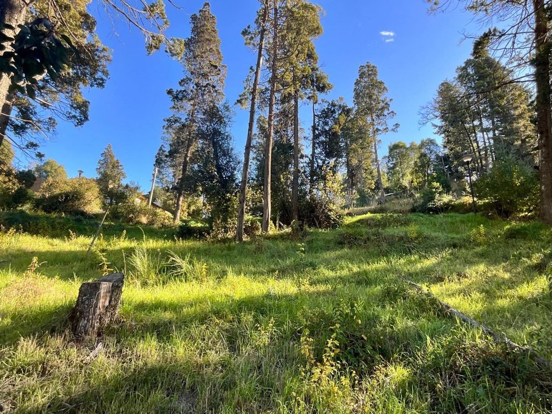 Lote  de 896 m2 en Altos de Quinchahuala apto PH