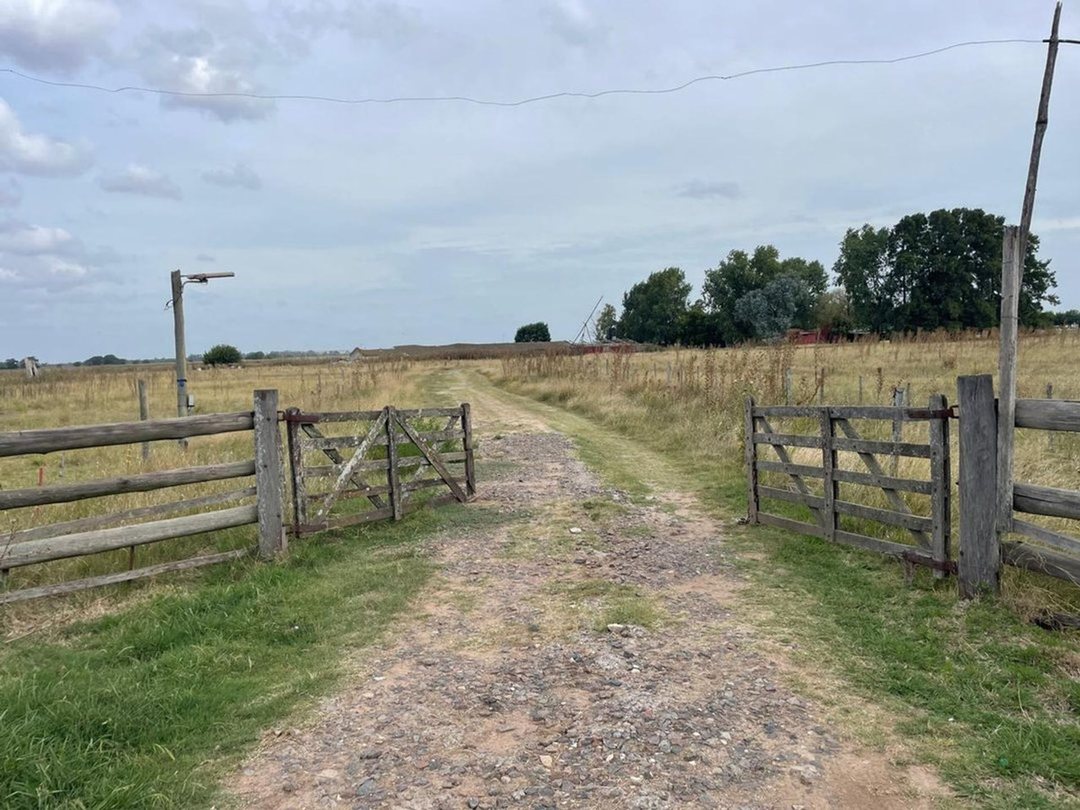 VENTA CAMPO 37 HAS RUTA 24 Y 6 GENERAL RODRIGUEZ
