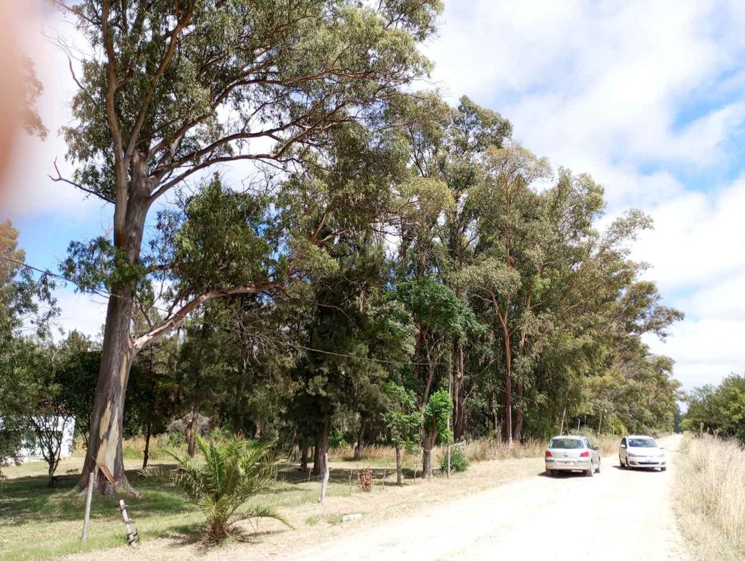 VENTA DE TERRENO EN BARRIO LOS BOSQUECITOS
