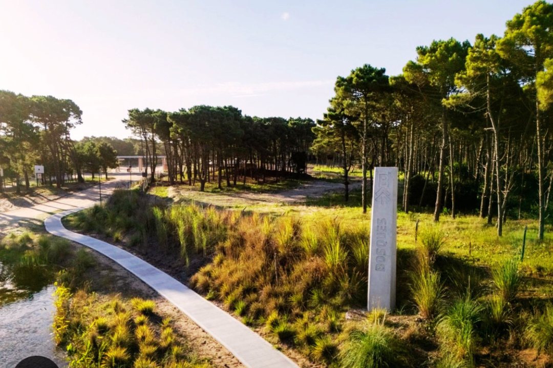 LOTE VENTA BARRIO BOSQUES PINAMAR NORTE