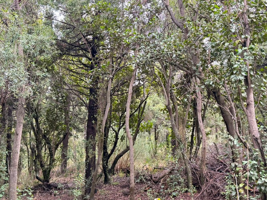 TERRENO EN VENTA SAN CARLOS DE BARILOCHE 3.750m2
