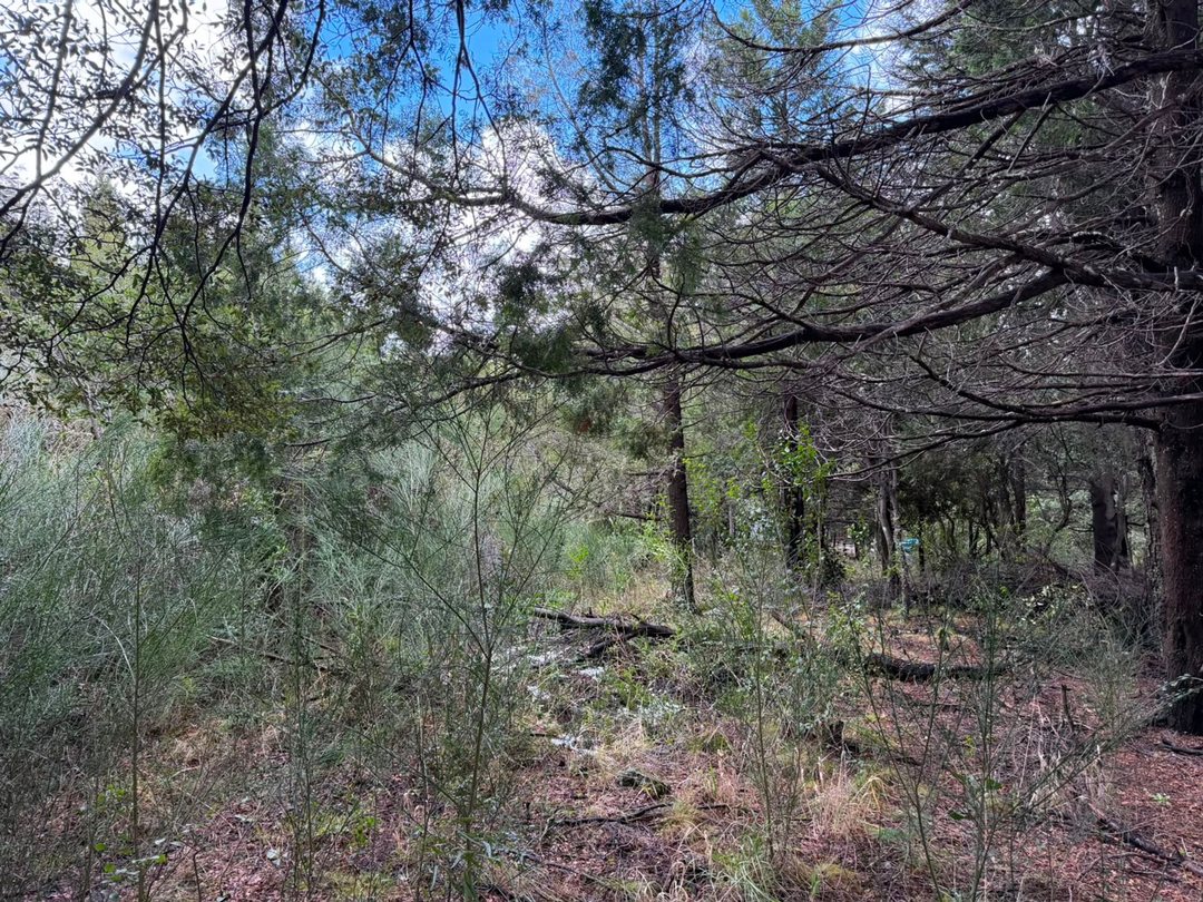 TERRENO EN VENTA BARILOCHE 1.448m2