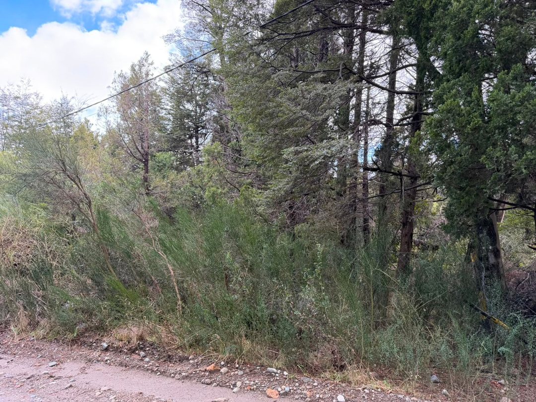 TERRENO EN VENTA SAN CARLOS DE BARILOCHE 1.245m2
