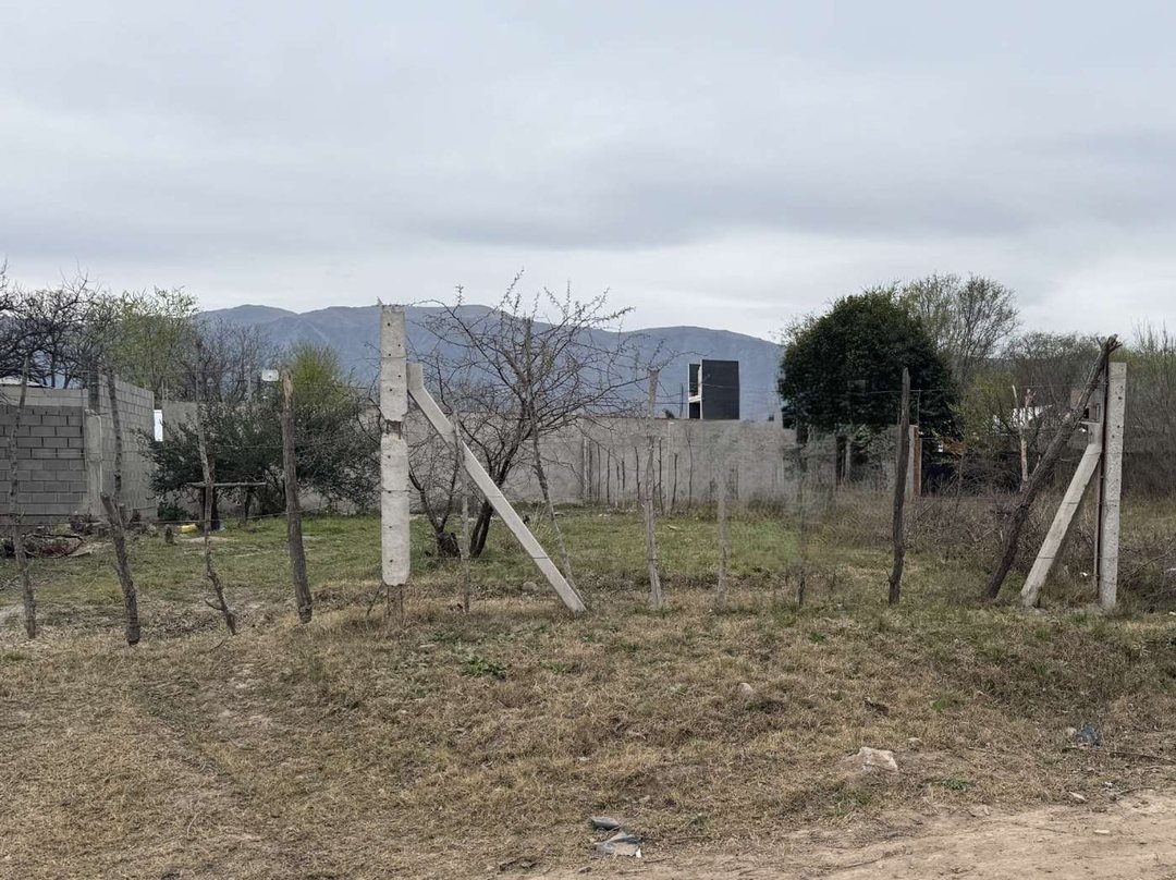 VENTA TERRENO 250 M2 EN COSQUIN CORDOBA