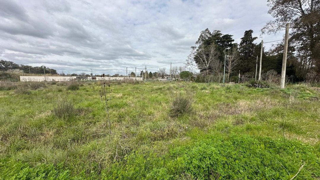 Lotes en Venta San Carlos Idel Desarollador