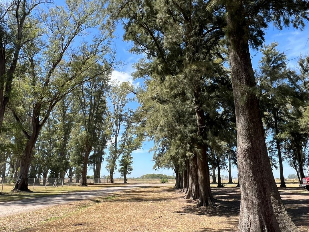 Venta Lote en Tres Pinos, Gral Rodriguez