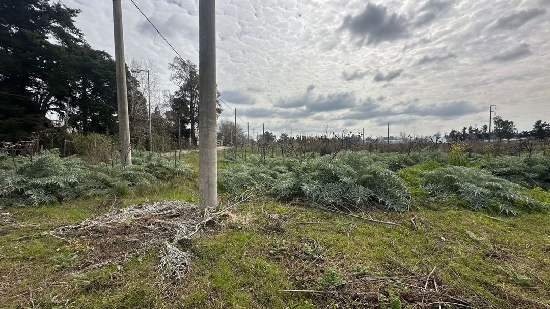 Lote Venta San Carlos Ideal Desarrollador