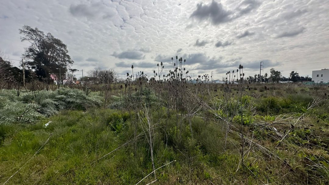 Lote Venta San Carlos Ideal Desarrollador