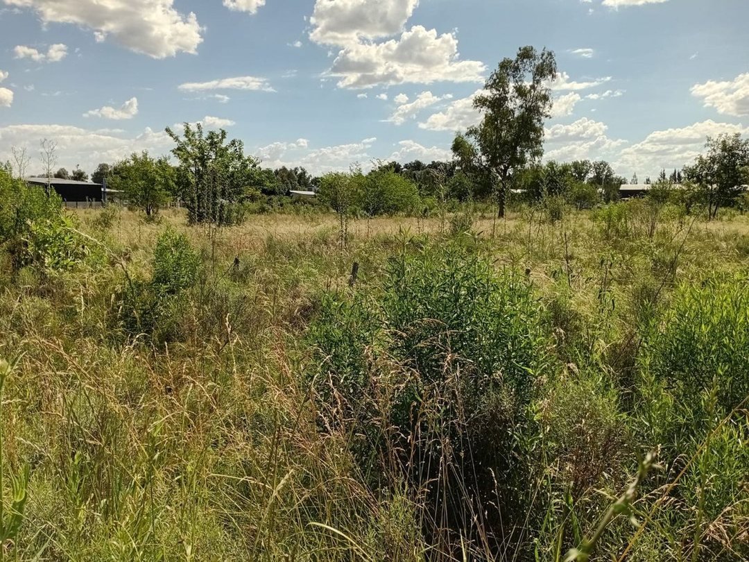 VENTA LOTE 5.000M2 EN GRAL. RODRIGUEZ RUTA 24