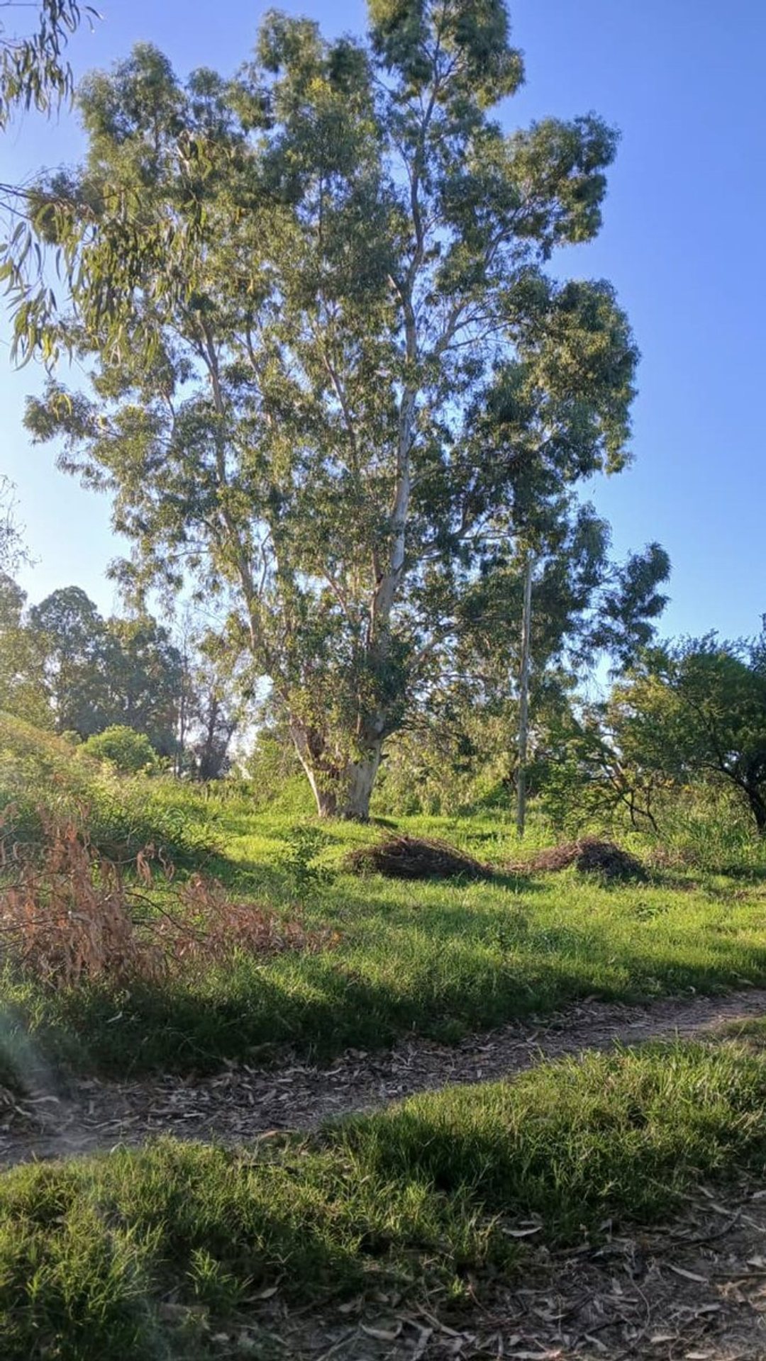 Venta | Lote en Arroyo Leyes | 439m2