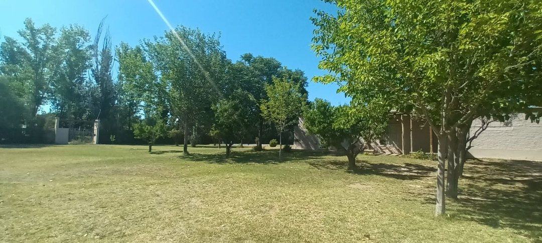 Lotes en venta Bª Ancellota-San Martín - Mendoza