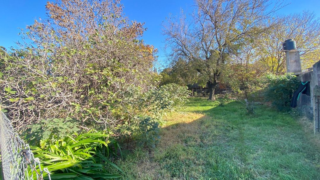 Lote 250 mt2 en venta Oliveros