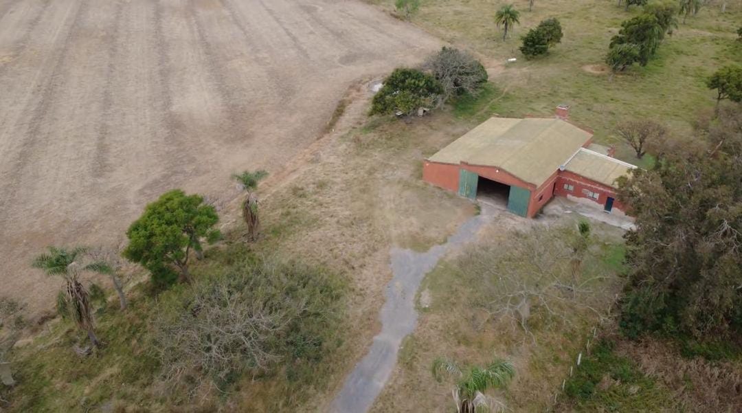 Campo agrícola en venta – La Pelada, Las Colonias