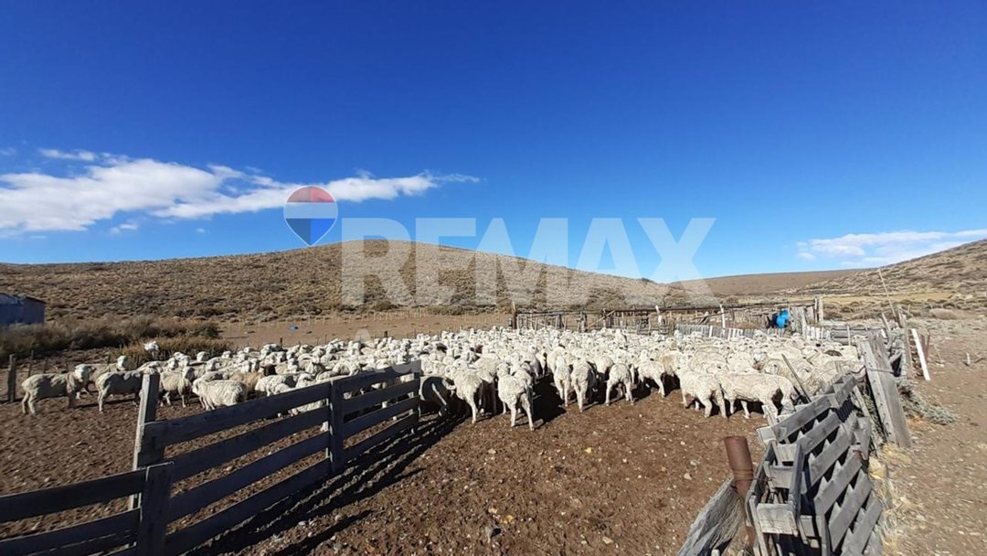 Campo EL FOGON  Las Heras Santa Cruz